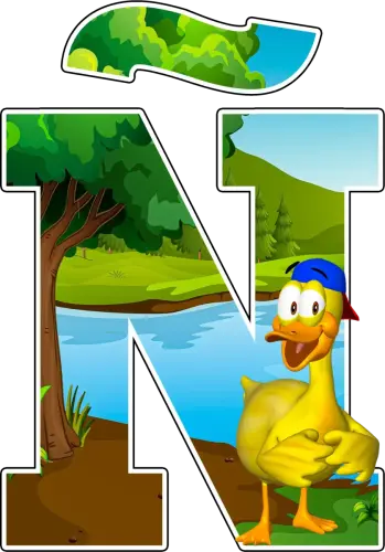 nn